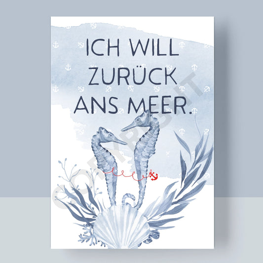 POSTKARTE - ICH WILL ZURÜCK ANS MEER