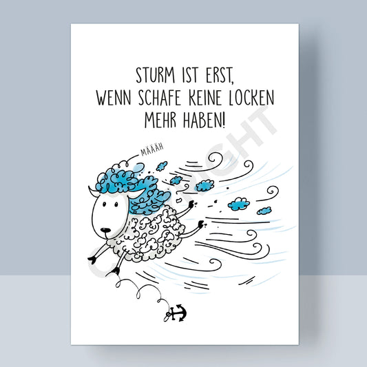 POSTKARTE - STURM IST ERST WENN SCHAFE KEINE LOCKEN MEHR HABEN